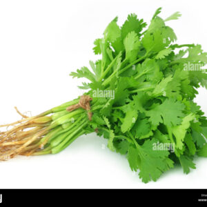 Coriander Leaves Bunch